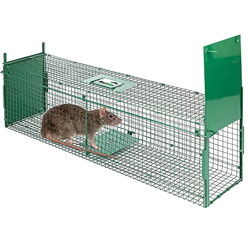 MaxxGarden Piège de Capture - Cage Rat - Trappe Capture - Double entrée - Pliable - 60 x 18 x 20 cm