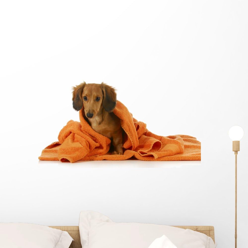 Wallmonkeys WM96911 Dog Bath Peel and Stick Wall Decals, 24" W x 15" H-Medium