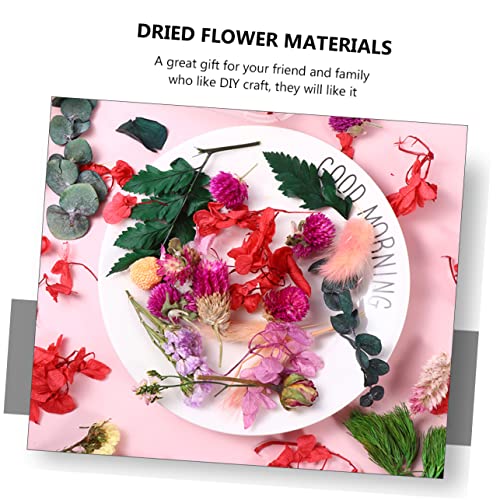 Flores secas Alipis para manualidades en paquete miniatura 3