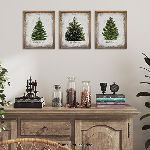 Yumknow Rustic Vintage Farmhouse Holiday Wall Decor - Christmas Tree Wall Art Gallery Wall thumb #4