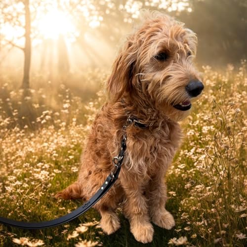 ZAVVIT BioThane Hundeleine, Umhängeleine 3m - 19mm breit | Verstellbar 1,5–3m | für mittelgroße & große Hunde | wasserfest, robust & pflegeleicht | Joggingleine mit 2 Karabinern (schwarz)