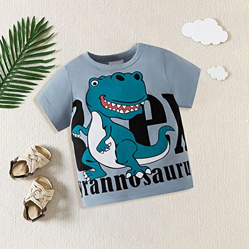 Boys Girls Cute Shirt Cotton Toddler Kids Graphic T-Shirt Dinosaur Print Tees Summer Clothes Short Sleeve Crewneck Top4