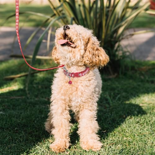 2 Sets Welpenhalsband mit Leine Set für Katzenstreu, Welpen Halsbänder, Katzenleine und Halsband-Set mit Glöckchen, Halsbänder für kleine Hunde, Kein Geschirr, Kätzchenleinen, Katzenhalsbänder