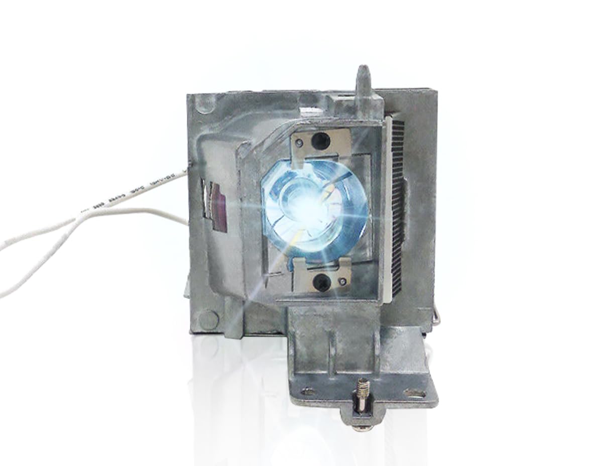NP36LP Replacement Projector Lamp Bulb Compatible with OPTOMA S310X W312 X312 NEC V302X H5380BD P1283 P1383W X113PH NP-V302W NP-V302X H6519ABD ACER P1283 P1383W Projectors, with Housing