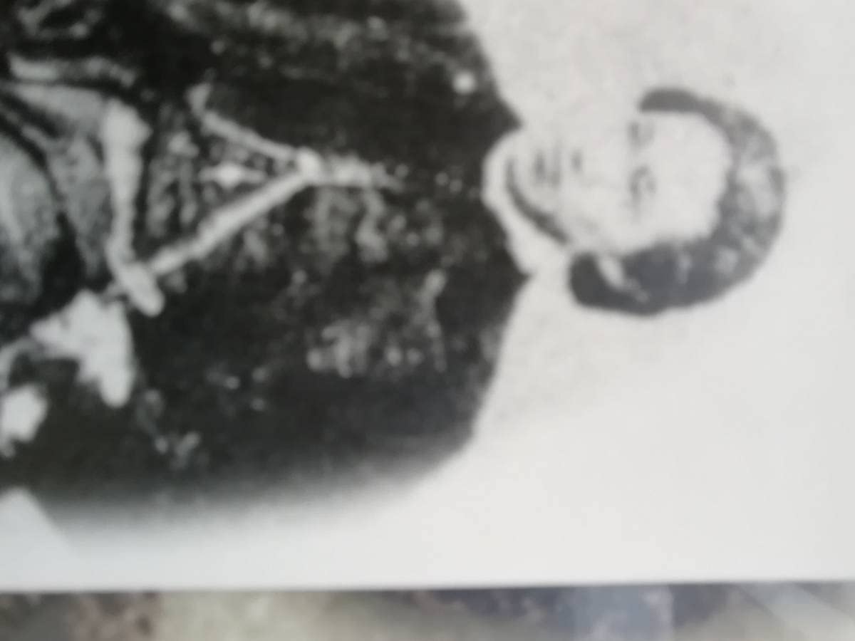 【未開封・未使用品】【レア２点セット】土方歳三 ジグソーパズル エポック社 Amazon | 土方歳三 ジグソーパズル 500ピース 38×53cm 新撰組