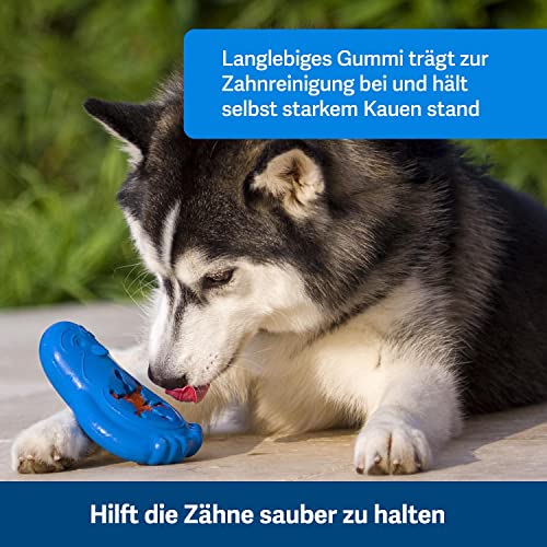 PetSafe Gefrier-Pinguin, Snackspielzeug für Hunde, Zur Beschäftigung und Gewichtskontrolle, Größe Mittel/Groß, Blau