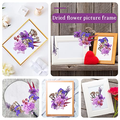 Miniatura 4 de Flores Secas Naturales Para Resina, Manualidades Diy, Joyería, Vela, Arte De Uñas, Artesanía, Scrapbooking Y Decoración Floral Morado Y Rojo
