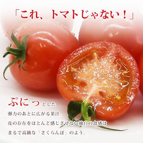 静岡産 ミニトマト プチぷよ 18粒 化粧箱入 除草剤不使用 化学合成農業 化学肥料削減 有機肥料 特別栽培農作物