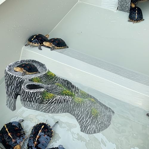 Grotte rocheuse avec plateforme de basking pour optimiser la thermorégulation des tortues - 5