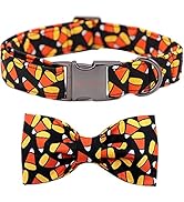 Unique style paws Spring Flory Print Dog Collar, Puppy Collar with Bowtie, Adjustable Dog Collar ...