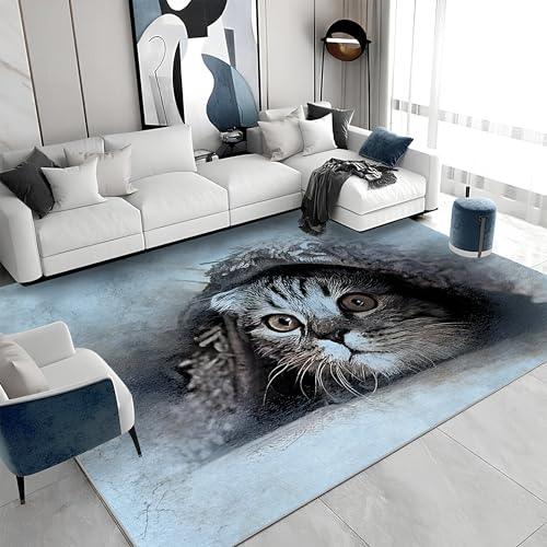 J[ybg L ` 5 ʔ O}bg@Ő􂦂 Ȃ O~  JV~O 傫 zbgJ[ybgg[Ή イ h_j  I[V[Y 250x300cm QT6