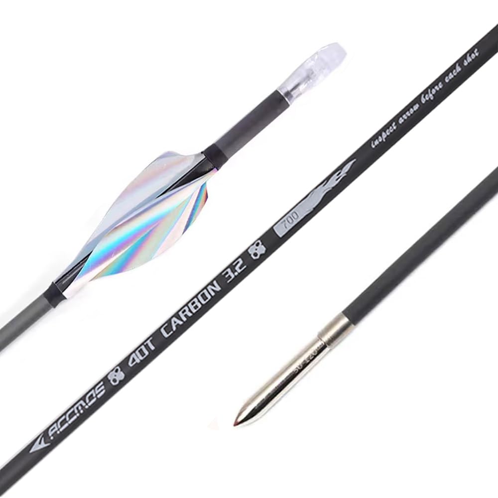 12 Pezzi Frecce con Piume a Spirale, Lunghezza Dell'asta 31 Pollici, ID 3,2 mm, Spine 350 (Silver 31inch)
