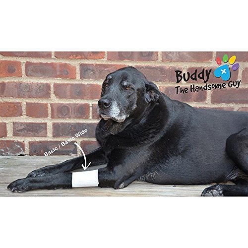 PawFlex Basic Leg Bandages for Dogs, Cats and Other Pets First Aid Non-Adhesive Fur Friendly - Value 10 Pack (5 Standard, 5 Wide) (Large) - Thumbnail 3