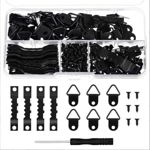 Image of 250 Pcs Picture Hanging Kit,Triangle D- Ring and Sawtooth Hangers Assorted with Screws.Metal Mounts for Hanging Canvas Paintings Photos Frames,Artworks,Crafts