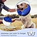 Lvefyti Aufblasbare Halskrause Hund,Einstellbar Hundekragen Leckschutz mit Schutzschicht,Atmungsaktive Elisabethanischer,Hundebody nach OP,Genesungshalsband Vorbeugung von Biss- und Leckwunden(Blau,L)