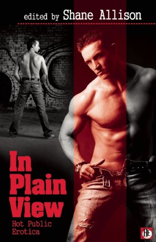 In Plain View: Hot Public Gay Erotica In Plain View: Hot Public Gay Erotica