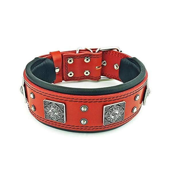 Red Collar for Big Dogs Buy Online
