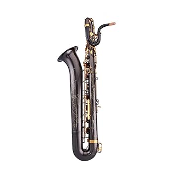 Amazon.co.jp: バリトンサックス Eフラットサックス ブラス