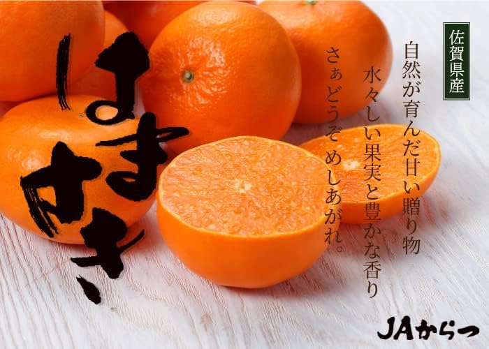 みかん はまさき 優品 4L～Lサイズ 5kg 佐賀県産 JAからつ ギフト