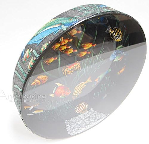 2010's Remo Remo OCEAN DRUM - 16" x 2 1/2" FISH See Photo