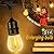 ZJOJO 60FT Solar String Lights Outdoor Waterproof, Solar Lights Outdoor with 15 Shatterproof Bulbs IP65, Patio Light for Outside Decor