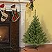National Tree Company Artificial Mini Christmas Tree, Green, Kincaid Spruce, Includes Stand, 4 Feet