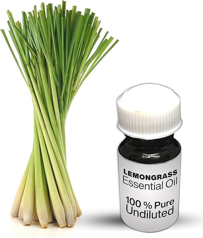 Lemongrass Essential Oil / 100% Pure Lemongrass Undiluted Essential Oil Premium Quality (50 ML, NATURAL)