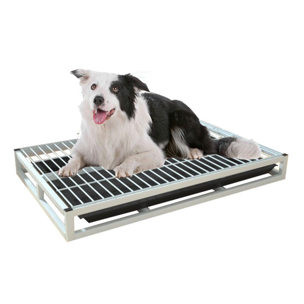 Candora Dog Toilet Drawer Pull-Out Small and Medium Dog Large Size Cleaning and Anti-Stepping Pet Bedpan Iron+Plastic Tray (L(22.04x30.70 inch), White)