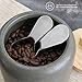 COLETTI Coffee Scoop Pack of 2 - Tablespoon Scoop - Stainless Steel Short Handle For Measuring Ground Coffee, Sugar and Baking (1 and 2 TBSP)