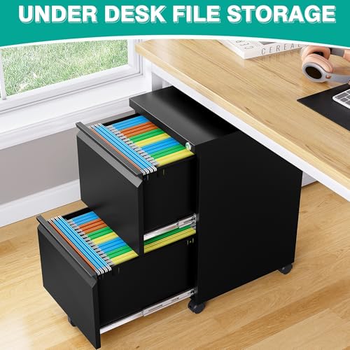 Image of SISESOL Assembled 2 Drawer File Cabinet on Wheels,Metal Filing Cabinet with Lock,Black Rolling File Cabinets,Under Desk Office Cabinets for Home Office,Fit A4 /Letter /Legal,Pre-Assembled Except Caster