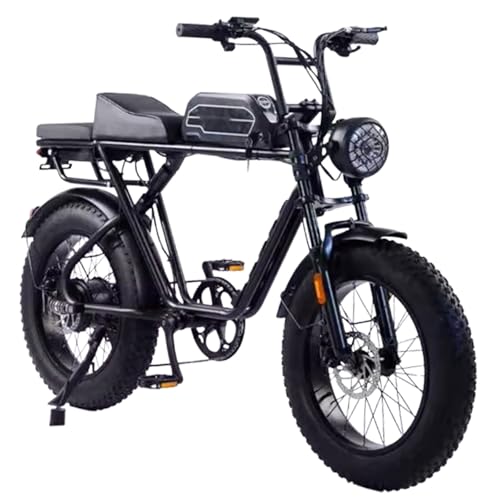 BoluDukNN Bicicleta Eléctrica De 20 Pulgadas, 7 Velocidades, para Todo Terreno, Pantalla LCD, Frenos De Disco Dobles, Faro Delantero, Compatible con NFC, Capacidad De Carga De 150 Kg 22A