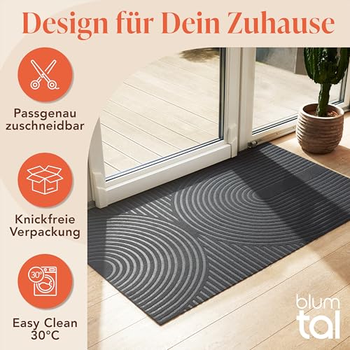 Blumtal Fußmatte 40x60 cm - rutschfeste Schmutzfangmatte - Fußabtreter Muster - Fußmatten Haustür - Türmatte aus langlebigem Polyester - Fußmatte innen/Schmutzfangmatte außen/Floor Mat Dunkelgrau
