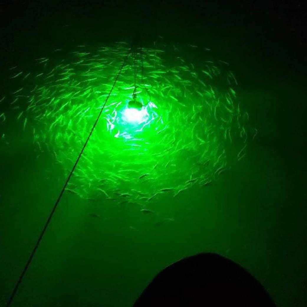 Lámpara de Pesca LED Sumergible IP68 DC/AC12-24V Verde Impermeable