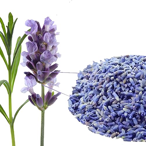 Té Chino De Flores Secas De Lavanda Té Perfumado Tee De Flores Moradas Tea Botánico Te Calmante Y Relajante Para Dormir Tea Verde Aromático De Flores Sin Aditivos (500g)