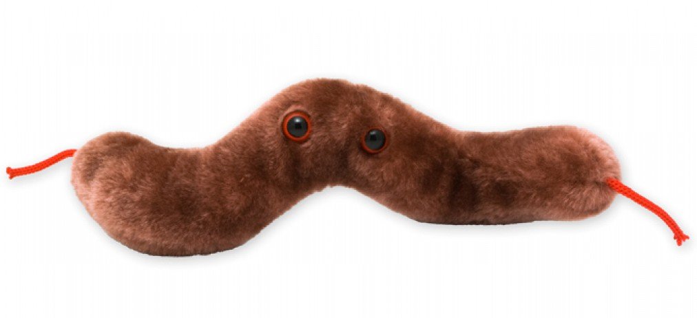 GIANTmicrobes Diarrhea Plush - Learn About Digestive Health, Campylobacter Bacteria and How it Affects The Body, Humorous Gift for Friends, Doctors, Teachers and Anyone with a Healthy Sense of Humor