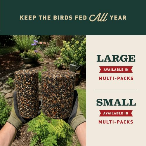 Image of Mr. Bird WildBird Feast Cylinder, 2-Pack, 1 lb 15 oz | Wild Bird Seed for Outside Feeders | Premium Blend of Pecans, Sunflower Hearts & Millet | No Mess, No Melt