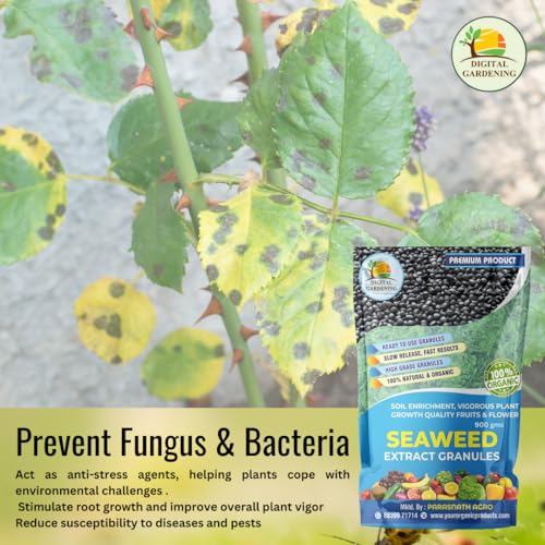 Image of Organic Seaweed Granule Fertilizer | All Purpose Plant Food Granules for Plant Food, Vegan Organic Plant Fertiliser (900gms)