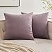 MIULEE Pack of 2, Velvet Soft Soild Decorative Square Throw Pillow Covers Set Cushion Cases PillowCases for Sofa Bedroom Car18 x 18 Inch 45 x 45 Cm
