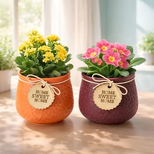 Image of Xtore Charming Textured Ceramic Planter Set with Wooden Tag Accent | Rustic Indoor Plant Pots for Desk, Shelf & Home Decor (Pack of 2, Planter only)