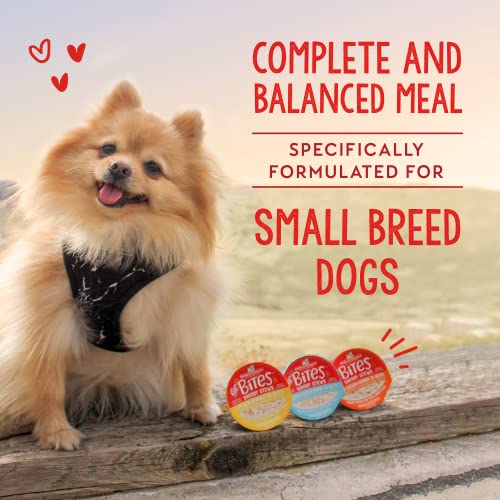 Stella & Chewy's Lil Bites Savory Stews for Small Breeds Chicken Dinner in Broth, 2.7 oz. Cups (Pack of 12) - image 7