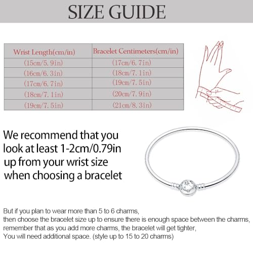 LIGHTDOG Charm Bracelet for Pandora Charms 925 Sterling Silver Snake Chain Bracelet Fit Any Charm Gift for Women4