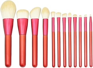 FRCOLOR 12Pcs 1 Conjunto Kit De Pincéis Cosméticos Pincéis Cosméticos Profissionais Kit De Pincéis De Maquiagem Portátil Pincéis De Maquiagem Kit De Viagem Kit De Pincéis Cosméticos Suíte