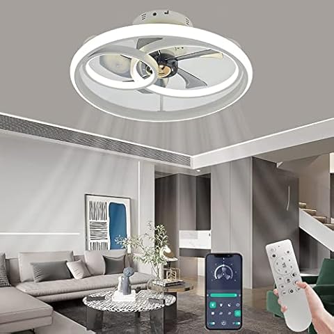 Jnswlxc Deckenventilator Mit Beleuchtung LED Deckenleuchte Mit Ventilator Fernbedienung Leise Dimmbar Modern Ventilator Lampe Für Esszimmer Wohnzimmer Schlafzimmer Kinderzimmer Cover