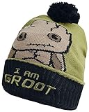  Gorro con Bola Groot Guardianes de la Galaxia