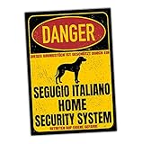 Segugio Italiano Schild Danger Security System Türschild Hundeschild Warnschild Hund Jagd Sicherheitsschild Hund Privatgrundstück Hundewarnung Warnung vor dem Hund