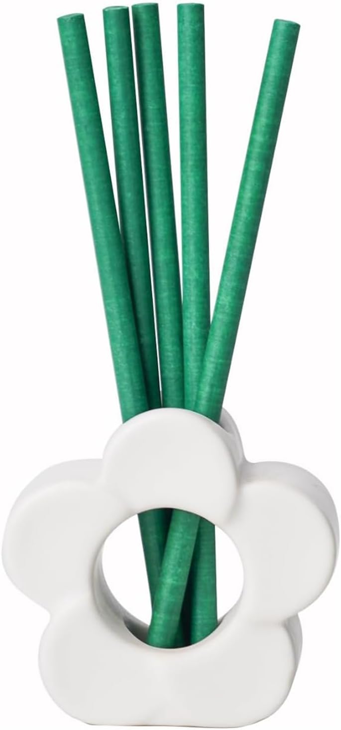 Liquid Free Non-Toxic Air Freshener for Home Diffuser Fragrance Lasts Over 30 Days Kit Includes 1 White Ceramic Base and 5 Scent Sticks (Rainwater and Bamboo)