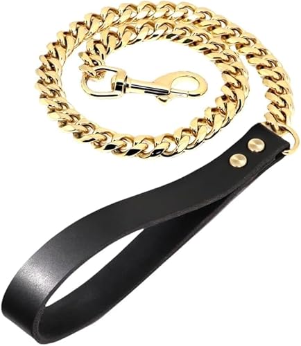 Ghbunuz ゴールド犬用リード、大型犬用 首輪、レザーハンドル付きステンレススチール、金属製頑丈犬用 (ゴールデン,19cm*120cm)