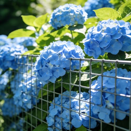 AMAGABELI GARDEN & HOME 17 Gauge Galvanized Hardware Cloth 48inch x 50ft 1 x 1 inch Welded Wire Mesh Fence Roll Chicken Wire Fencing for Tree Guard Rat Rabbit Snake Poultry Netting Cage Garden