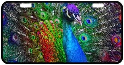 Psychedelic Peacock Pattern Car Accessories Metal License Plate Frame 11.8" X 6.1"