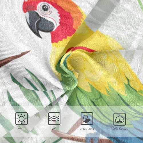 ALAZA Baby Boys' Briefs Toddler Boys Underwear 100% Cotton Soft Parrot Bird 2T3